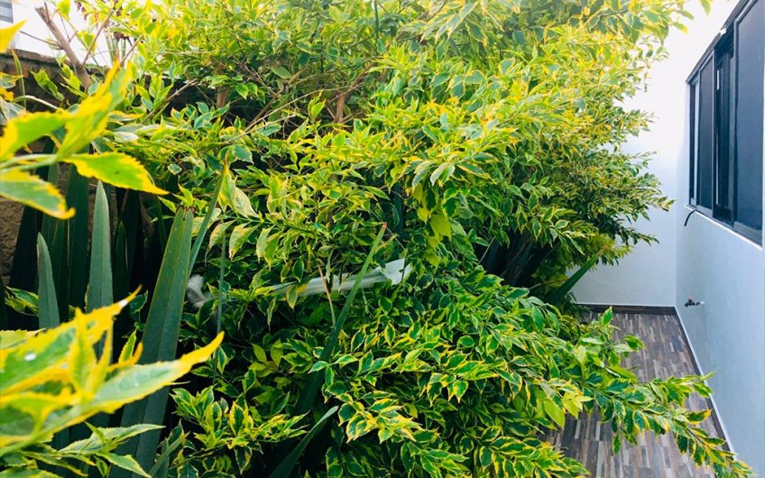 VENTA DE CASA EN LOMAS DE ANGELÓPOLIS